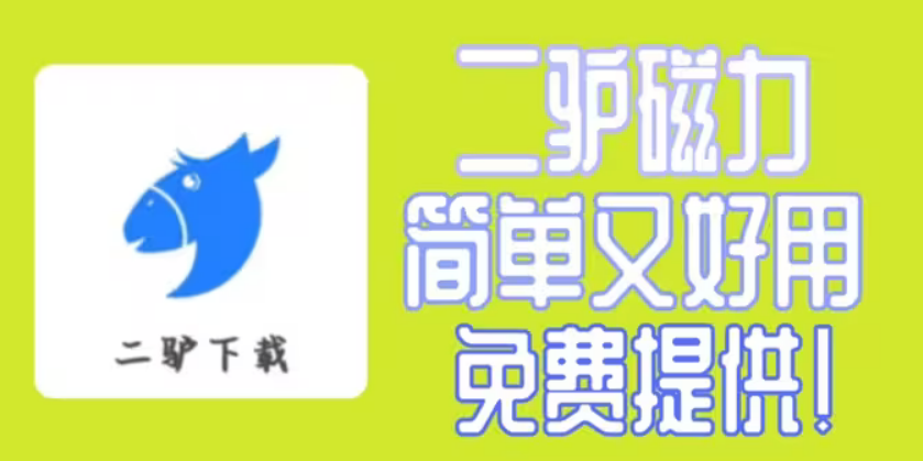 ¿vip桾롿
